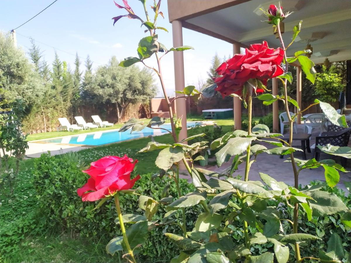 Ilafe Farmhouse, Villa Avec Piscine Chauffee Privee Et Jacuzzi Pour Familles Marrakesh Exteriör bild
